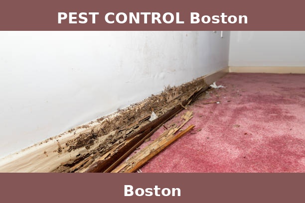 PEST CONTROL Boston